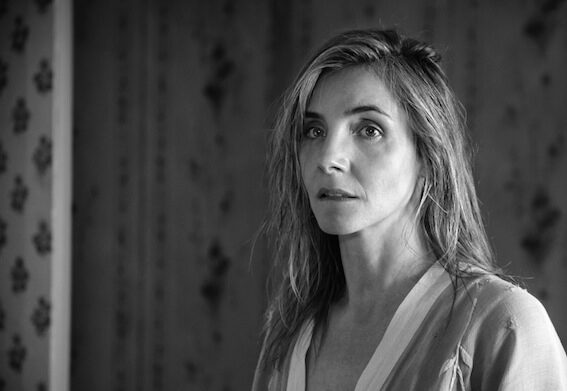 Críticas de cinco títulos de la Sección Oficial