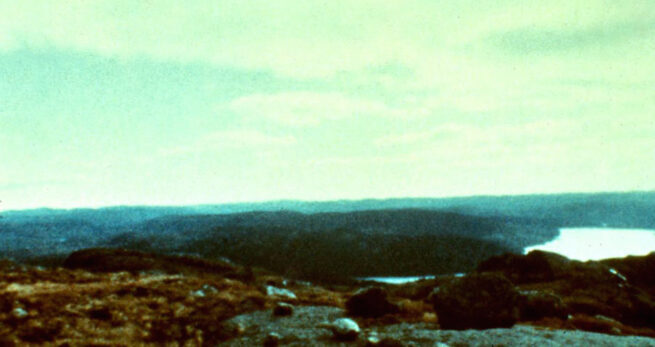 Punto de Vista apuesta por el Tiempo, Pollet y Snow