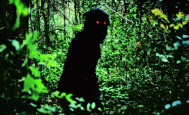 Uncle Boonmee recuerda sus vidas pasadas (Apichatpong Weerasethakul, 2011)