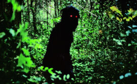 Uncle Boonmee recuerda sus vidas pasadas (Apichatpong Weerasethakul, 2011) – Filmin