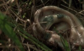 Terciopelo Azul (David Lynch, 1986)