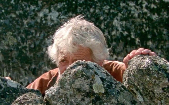 Las mil y una noches: Vol.2, El desolado