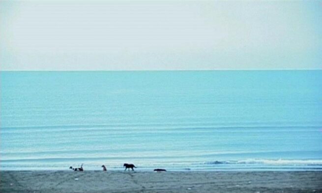 Entrevista a Abbas Kiarostami: De la intervención y el azar Entrevista a Abbas Kiarostami: De la intervención y el azar