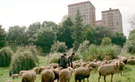 Las mil y una noches. Vol. 2: El desconsolado (Miguel Gomes, 2015)