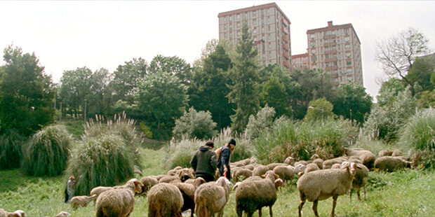 Las mil y una noches. Vol. 2: El desconsolado (Miguel Gomes, 2015) Las mil y una noches. Vol. 2: El desconsolado (Miguel Gomes, 2015)