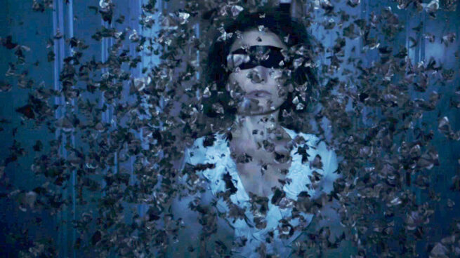 The Duke of Burgundy (Peter Strickland, 2014) The Duke of Burgundy (Peter Strickland, 2014)