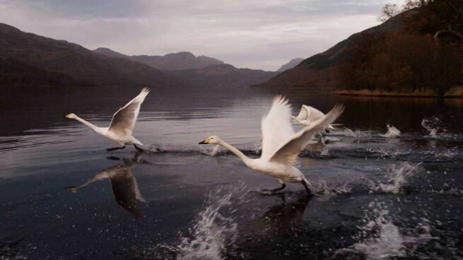 Conquest of the Skies (Anthony Geffen, 2015)