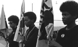 The Black panthers: vanguard of the revolution (Stanley Nelson, 2015)