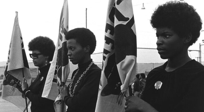 The Black panthers: vanguard of the revolution (Stanley Nelson, 2015)