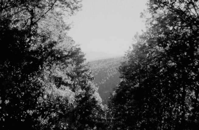 Se anuncia la sección oficial del VI Festival Márgenes