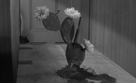 El hombre que mató a Liberty Valance (John Ford, 1962)