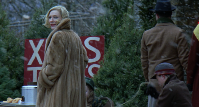 Carol (Todd Haynes, 2015)