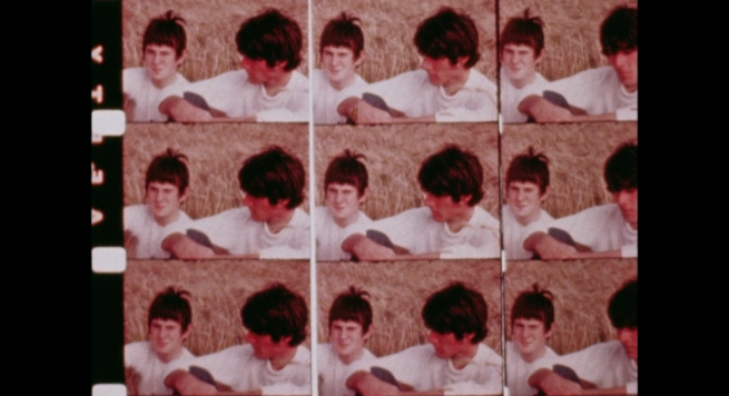 Anne Rees-Mogg. Sentimental Journey
