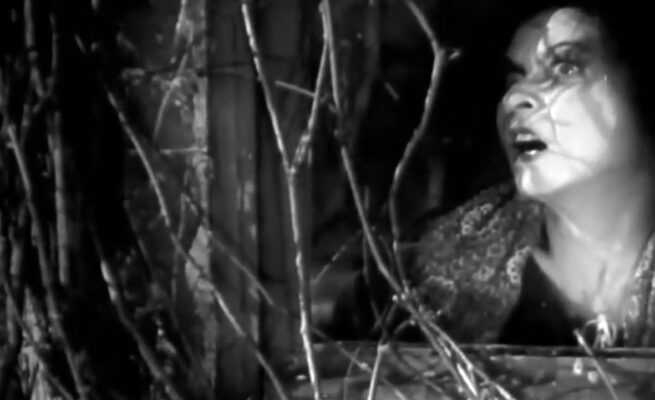 La caída de la casa Usher (Jean Epstein, 1928) La caída de la casa Usher (Jean Epstein, 1928)