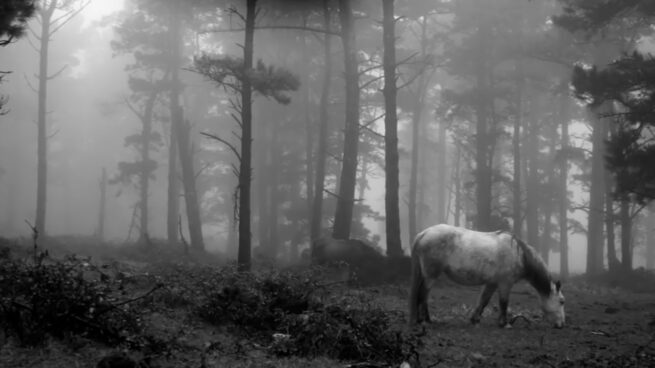 21 films españoles participarán en la Competición Nacional de DOCUMENTAMADRID