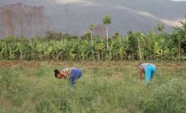 MujerES Tierra (Wendy Espinal, Mijail Peralta, 2016)