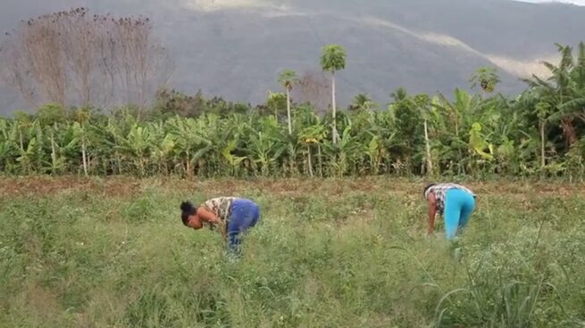 MujerES Tierra (Wendy Espinal, Mijail Peralta, 2016)