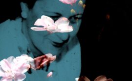 El “found footage”, Joseph Cornell, Aldo Tambellini y Helga Fanderl, protagonistas del (S8)