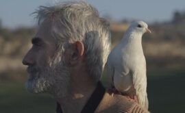 El corto documental español brilla en DocumentaMadrid 2017