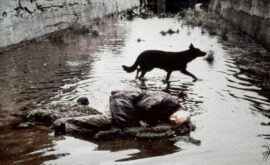 Stalker (Andrei Tarkovsky, 1979)
