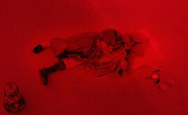 Albert Serra presentará “Roi Soleil” en el FidMarseille