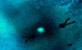 #Contrapuntos: “The Wild Blue Yonder”, de Werner Herzog