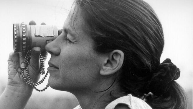 Ildikó Enyedi, Premio Honorífico del Festival de Sevilla Ildikó Enyedi, Premio Honorífico del Festival de Sevilla