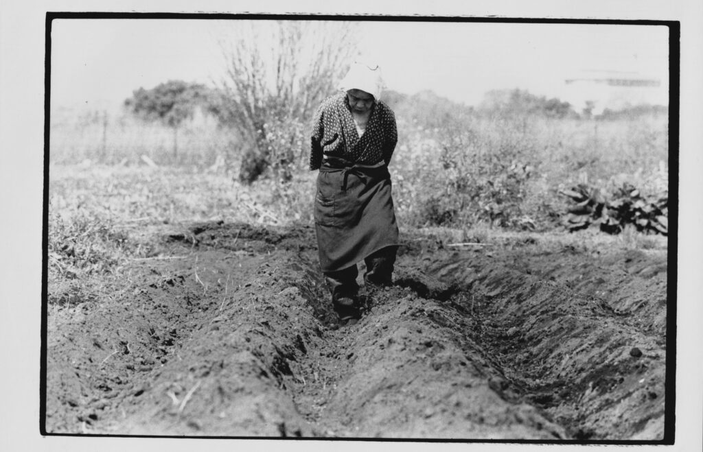 Punto de Vista dedicará sus tres Focos a Fukuda Katsuhiko, Ana Poliak y