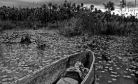 El Festival de Gijón corona los trabajos de David Bim, Cecilia Verheyden y la dupla formada por Sofía Jallinsky y Basovih Marinaro